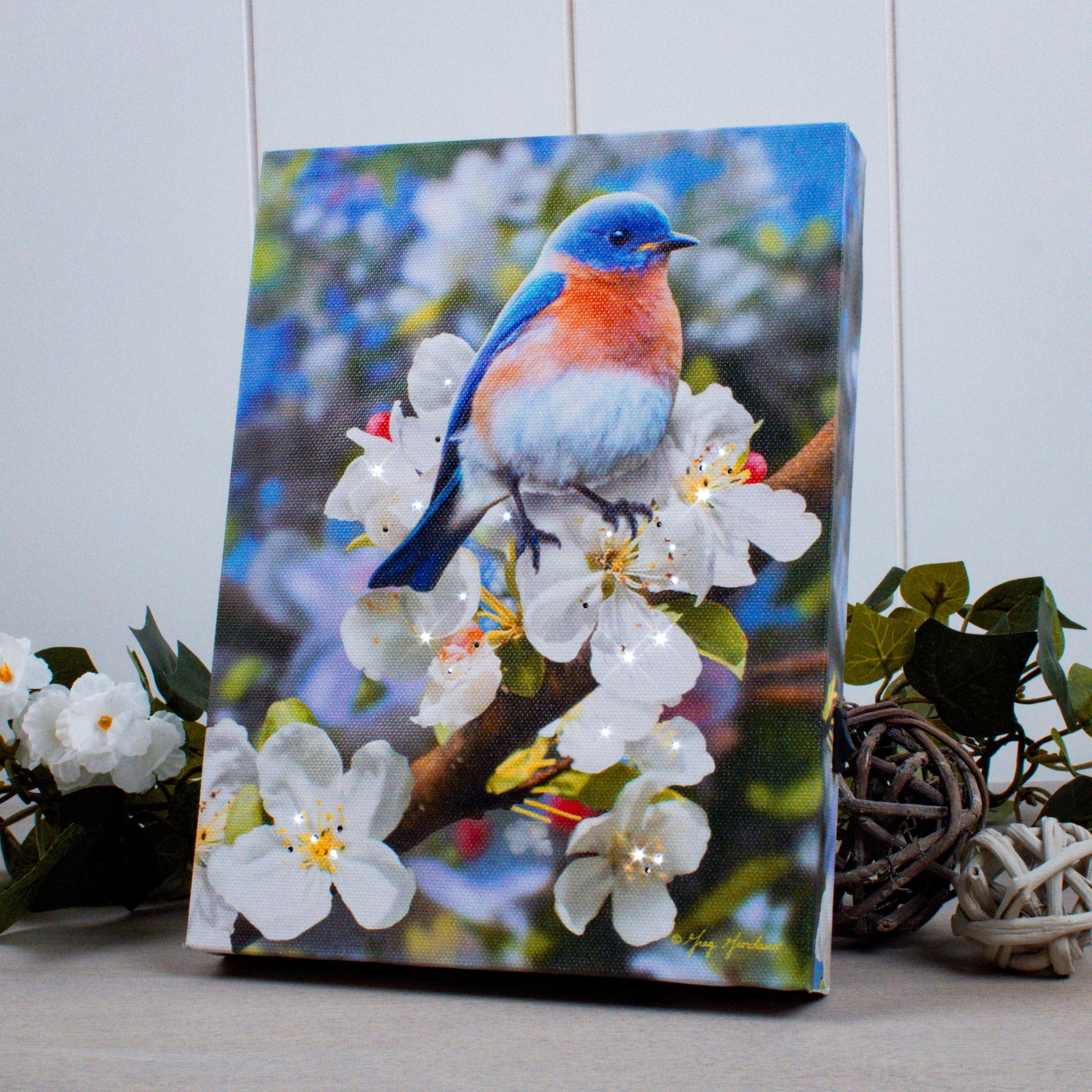 Bluebird 8x6 Lighted Tabletop Canvas