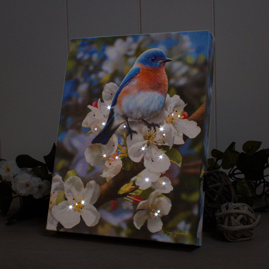 Bluebird 8x6 Lighted Tabletop Canvas