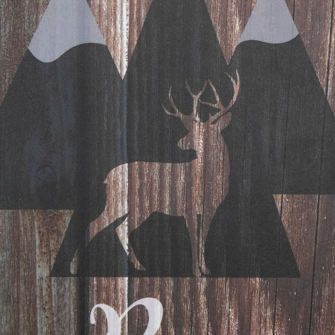 Be Strong and Courageous Wooden Sign with Rope Hanger