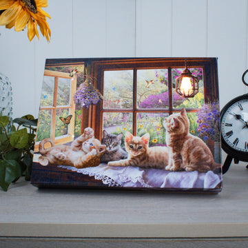 Playful Kittens 8x6 Lighted Tabletop Canvas
