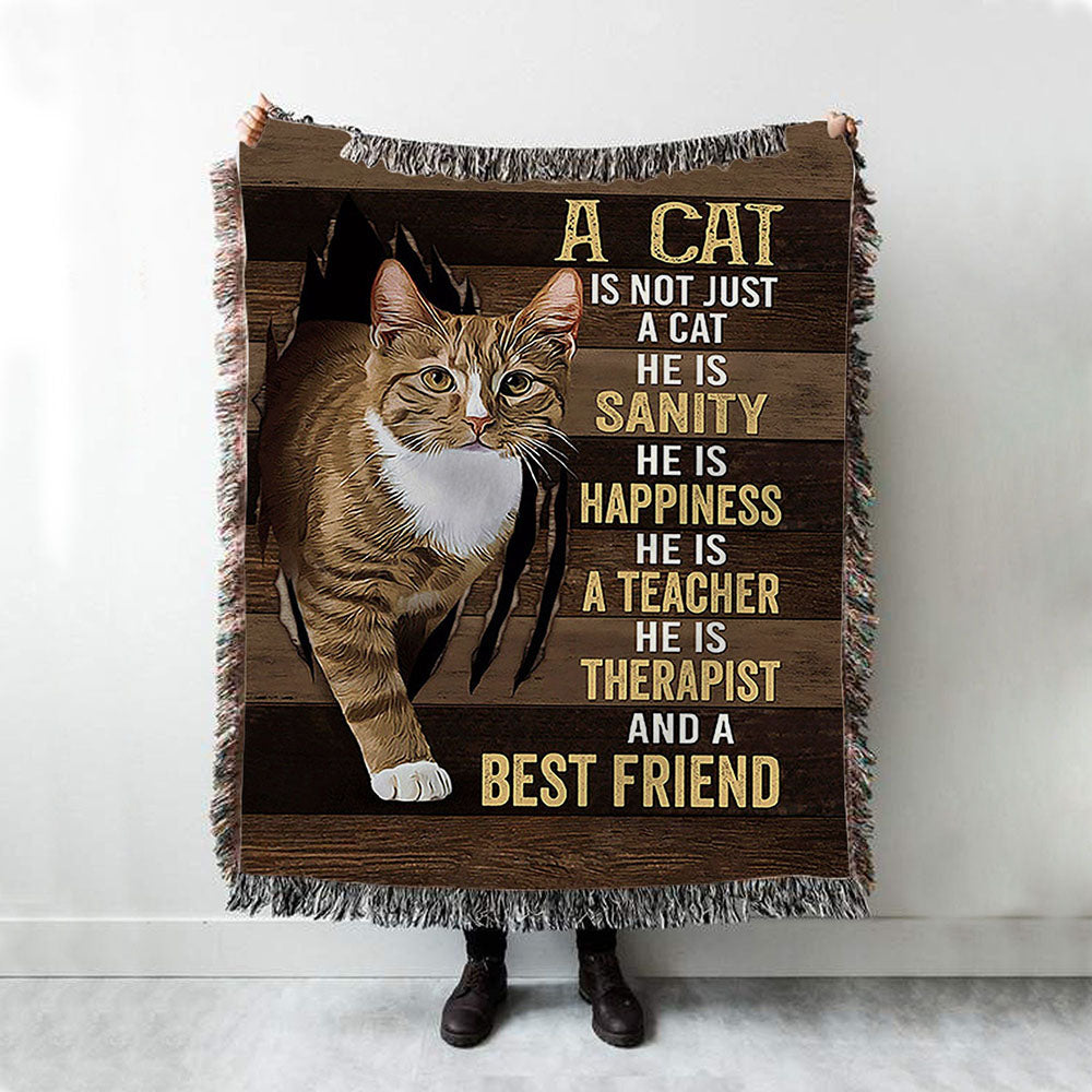 A Cat Is Not Just A Cat Woven Blanket Art - Christian Throw Blanket Decor - Gift For Cat Lover Woven Blanket