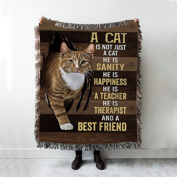 A Cat Is Not Just A Cat Woven Blanket Art - Christian Throw Blanket Decor - Gift For Cat Lover Woven Blanket
