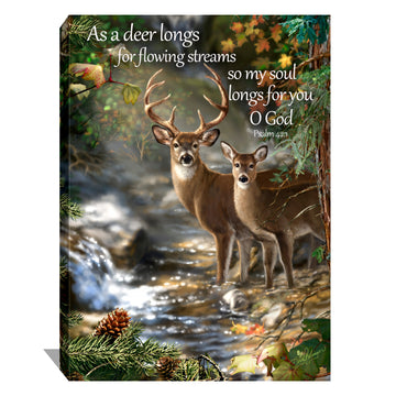 Deer Creek with Scripture Canvas Wall Art