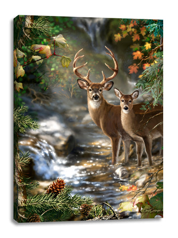Deer Creek Canvas Wall Art