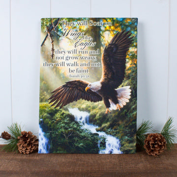 Eagle's Flight Canvas Wall Art