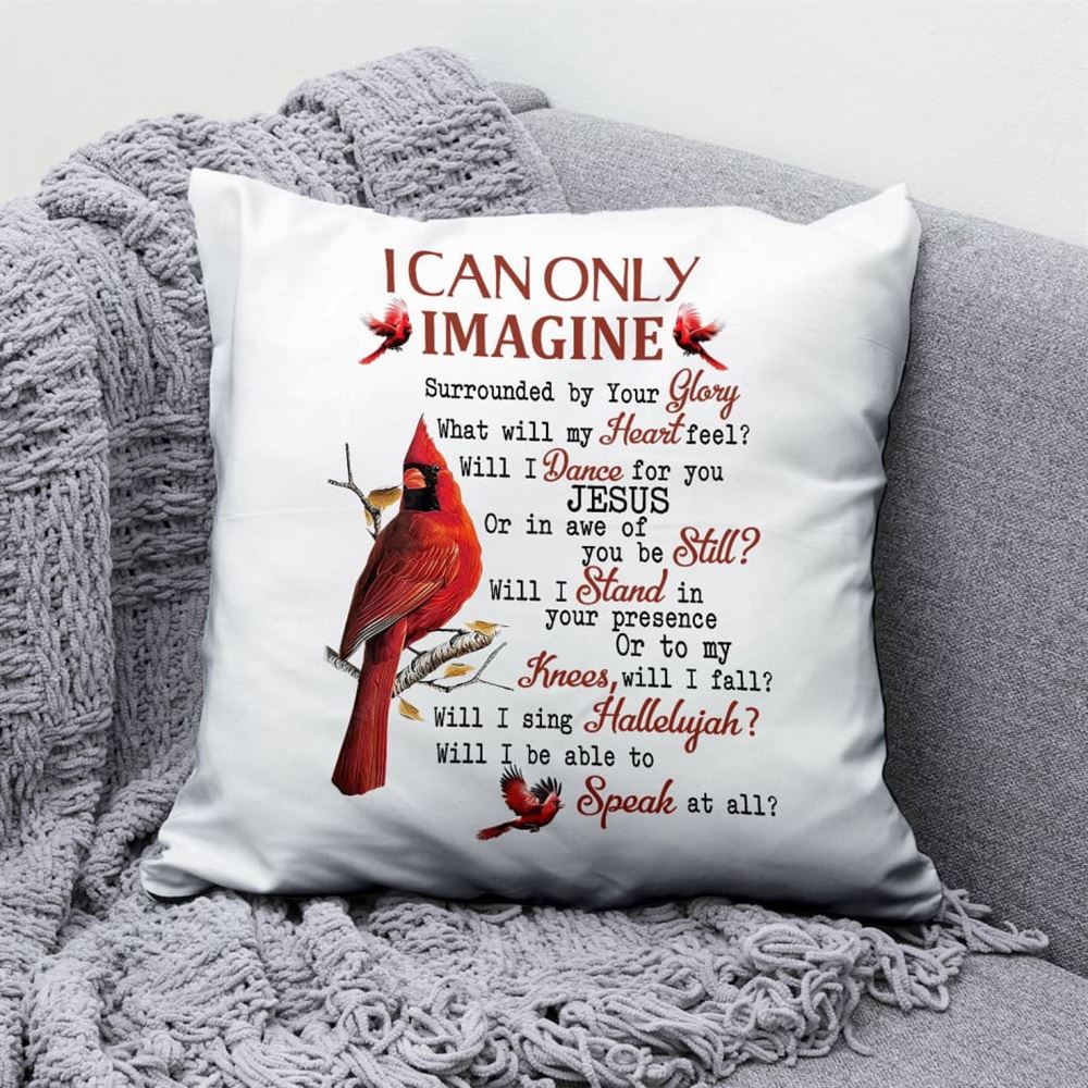 Christian Pillow, Jesus Pillow, Cardinal Pillow, I Can Only Imagine Pillow, Christian Throw Pillow, Inspirational Gifts, Best Pillow