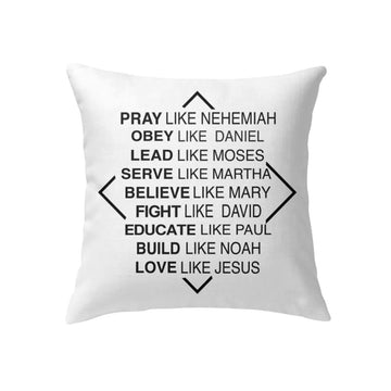 Christian Pillow, Jesus Pillow, Christian Pillows Pray Like Nehemiah Obey Like Daniel Pillow, Christian Throw Pillow, Inspirational Gifts, Best Pillow
