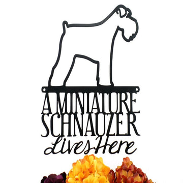Custom Metal Sign, Miniature Schnauzer Lives Here  Metal Sign, Anniversary Gift, Dog House Sign, Outdoor Sign, Home Decor Sign