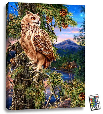 Wisdom of the Woods 18x24 Fully Illuminated LED Wall Art