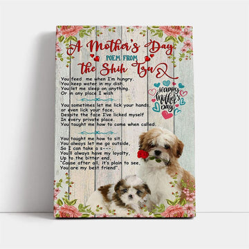 Shih Tzu Dog A Canvas, Mother's Day Canvas Art, Gift For Mom, Birthday Gift, Mother's Day Wall Art